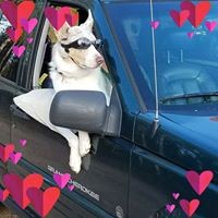 Profile Picture of Karen Larsen (@karen-larsen-26) on Quora