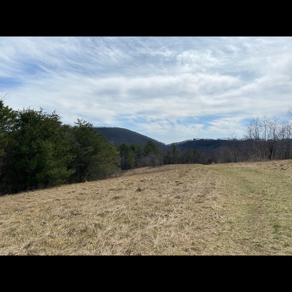 Profile Picture of Allison Herbert (@amg44424) on Poshmark