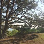 Profile Picture of James Wilkinson (@james_wilkinson_152) on Instagram