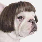 Profile Picture of Jason Parsons (@phobosmontholios) on Instagram