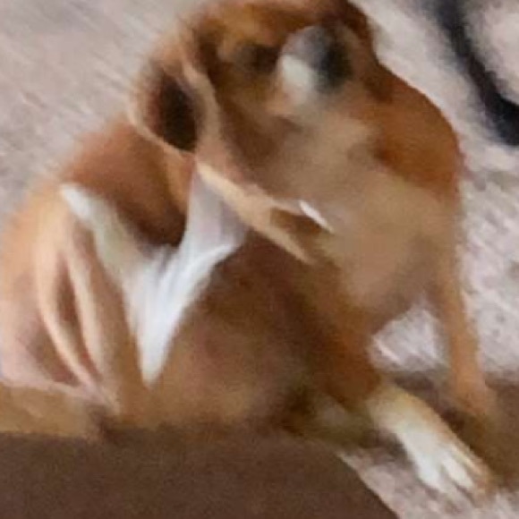 Profile Picture of Zoe Chandler (@zoenikole218) on Poshmark