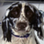 Profile Picture of billybrad1953 (@billybrad1953) on Flickr