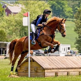 Profile Picture of Sarah Lovallo |🇺🇸 (@sarah.lovallo.eventing) on Instagram