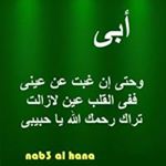 Profile Picture of Mohamed Asfour (@mohamed.asfour.1804) on Instagram