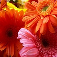 Profile Picture of Wanda Smith (@wanda-smith-59) on Quora