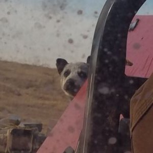 Profile Picture of John Chiles (@chilesjohn) on Twitter