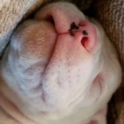 Profile Picture of Rhonda Swift (@SwiftRhonda) on Twitter