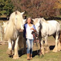 Profile Picture of Mary Lou Kaler (@mary-lou-kaler-1) on Quora