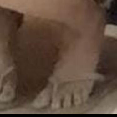 Profile Picture of killian wesley mbappe texeira (@dudaolhodefundodegarrafa) on Tiktok