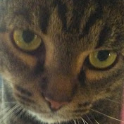 Profile Picture of Lori Holt (@loriholt7990) on Youtube