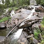 Profile Picture of thomas wessels (@thomaswessels119) on Instagram