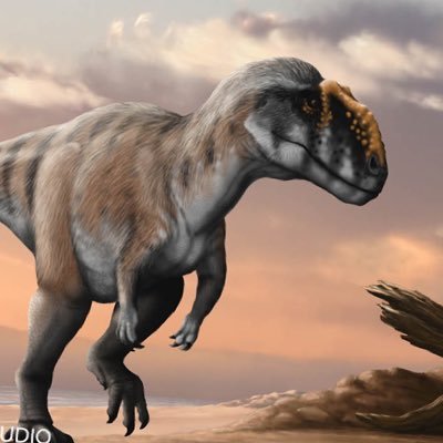 Profile Picture of Zachary Johns (@ZacharyJohns8) on Twitter