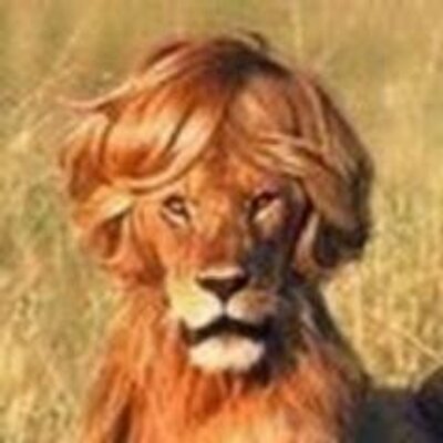 Profile Picture of Ida Leone (@Ida_Leone) on Twitter