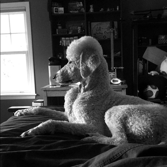 Profile Picture of Garrett Capuana (@garrettcap_) on Poshmark