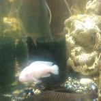 Chasity Fox - Facebook Profile Picture of Chasity Fox (@chasity.fox.94) on Facebook