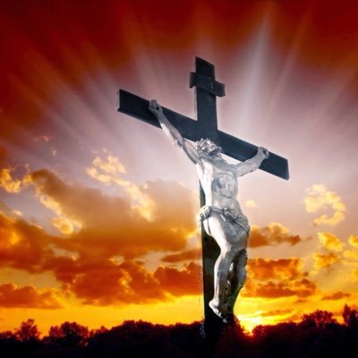 Profile Picture of David, Chrétien. (@flecktarn66) on Twitter