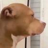 Profile Picture of Harvey Bates (@harvey__bates) on Tiktok