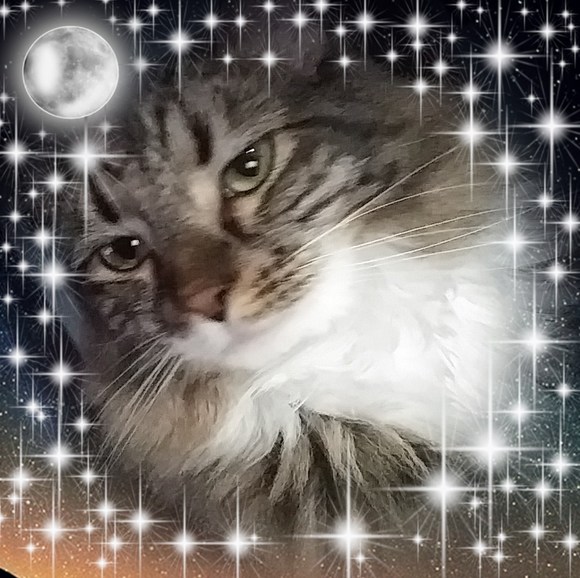 Profile Picture of Bobbie Perez (@bobbieperez514) on Poshmark