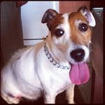 Profile Picture of Scott Serafin (@serafin.scott) on Instagram