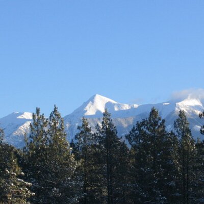 Profile Picture of Paul Bartel (@paul_bartel) on Twitter