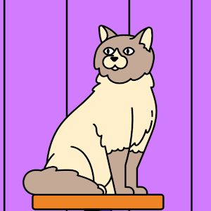 Profile Picture of Battlecliff (@battlecliff) on Tiktok