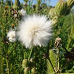 Profile Picture of Ginnie Roberts (@itsmeginnier) on Instagram