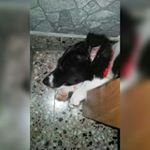 Profile Picture of paula berman@gmail.com (@bermangmail.compaula) on Instagram