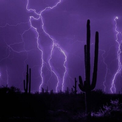 Profile Picture of Jay Laidlaw (@jay607151) on Twitter