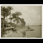 Profile Picture of Sherrill Joyce (@jayme589) on Instagram