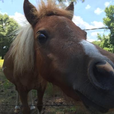 Profile Picture of Luke Wagnon (@wagnon_luke) on Twitter