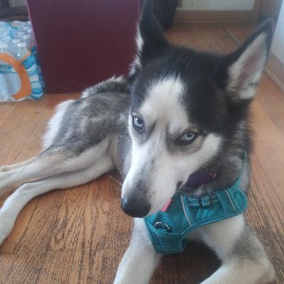 Profile Picture of Sarah Marson (@SarahMarson4) on Twitter