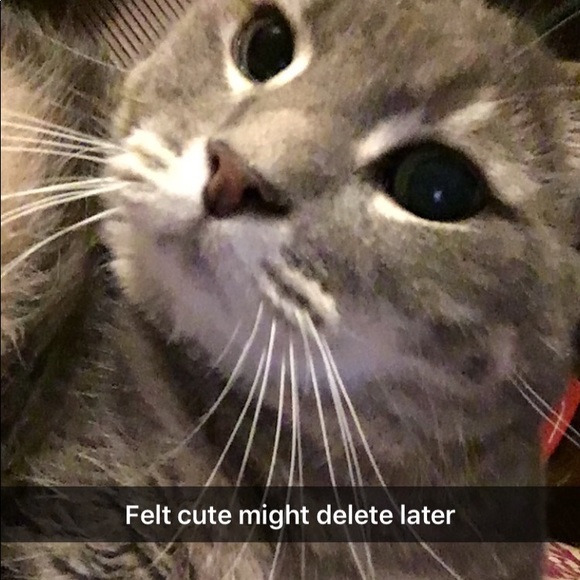 Joey Dejesus - Poshmark Profile Picture of Joey Dejesus (@joethebowser) on Poshmark