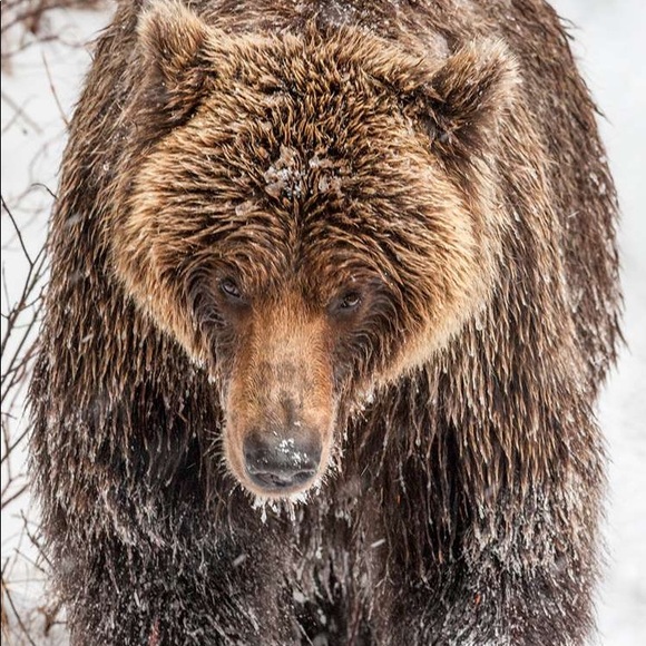 Profile Picture of Thomas Maxwell (@thomascmaxwell) on Poshmark