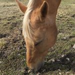 Profile Picture of Vera Aizman (@veraaizman) on Instagram