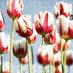 Profile Picture of Michaela Hynštova (@michaela_hynstova) on Instagram