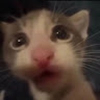 Profile Picture of Peter Dustin Ioan Afable (@peter-dustin-ioan-afable) on Quora