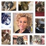 Profile Picture of Jo Barker (@joeyb_jobarker) on Instagram