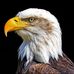 Profile Picture of HansPeter Loescher (@hanspeter.loescher.1) on Facebook