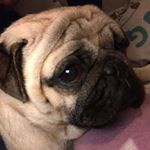 Profile Picture of Karin Wurm (@karin.wurm.75) on Instagram