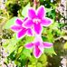 Profile Picture of Janet La Torrey (@janet.delatorre.3950) on Facebook