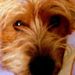 Profile Picture of Tanya Keith (@jkimball3506) on Pinterest