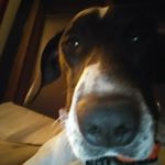 Jonathan Stutzman - Instagram Profile Picture of Jonathan Stutzman (@maryjane_and_buddy) on Instagram