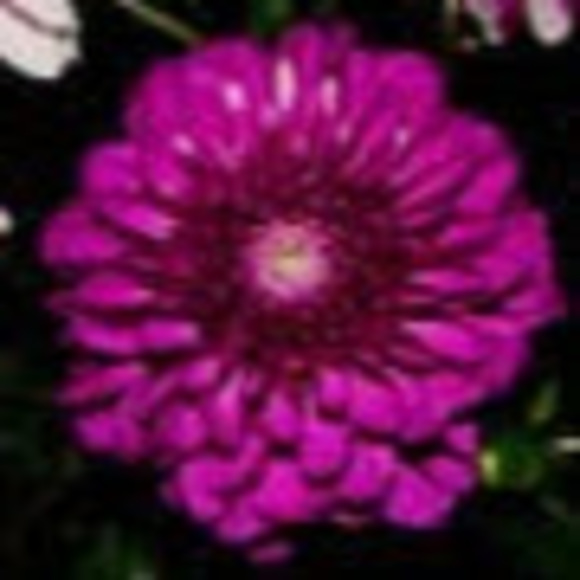 Profile Picture of Amie Clark (@amieclark481) on Poshmark