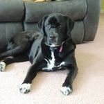 Profile Picture of Tammy Devlin (@tammy.devlin.77) on Instagram