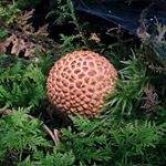 Profile Picture of Travis Stuart (@travstuart) on Instagram