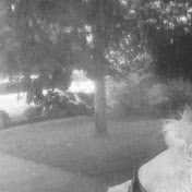 Profile Picture of David Ames (@amestoplzaxeman) on Youtube