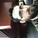 Profile Picture of Matthew Mcfadden (@mrobertom) on Pinterest