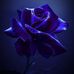 Profile Picture of Paula Trego (@paula.trego.921) on Facebook