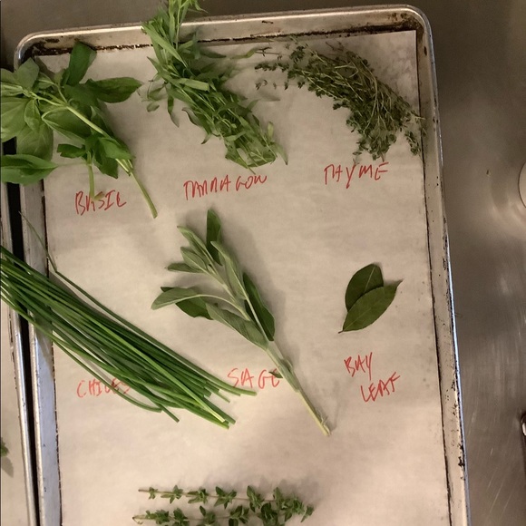 Profile Picture of Andrea Sirico (@ateach1234) on Poshmark