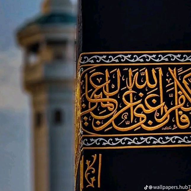 Profile Picture of Haitham Nasser (@haithamnasser250) on Tiktok